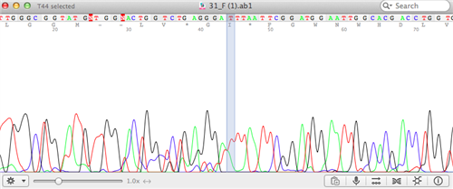 Spectrogram
